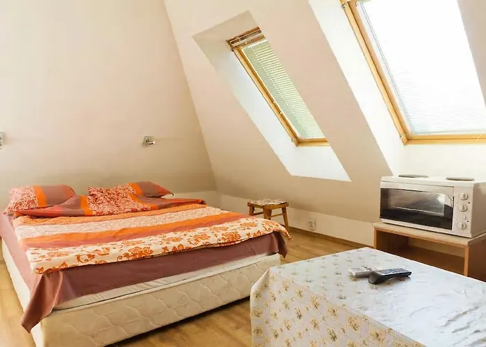 Stay Nexus Near Airport
